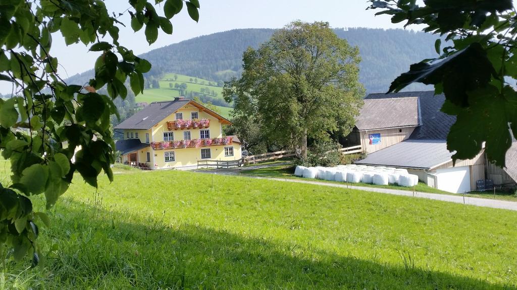 Huberhof Im Almenland Apartment Sankt Kathrein am Offenegg Exterior photo